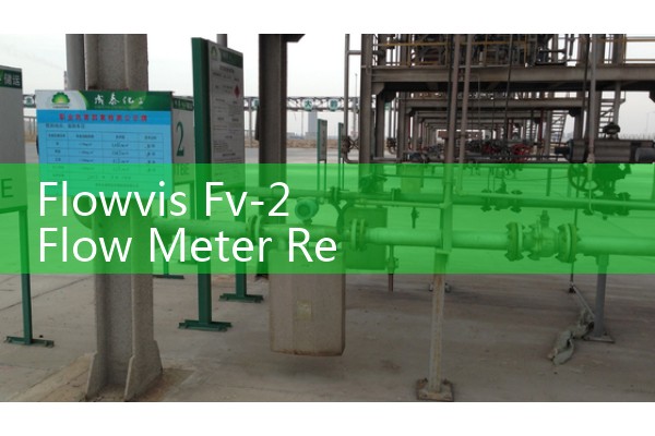 Flowvis Fv-2 Flow Meter Review: Evaluating Longevity and Calibration Accuracy in Chlorinated Water